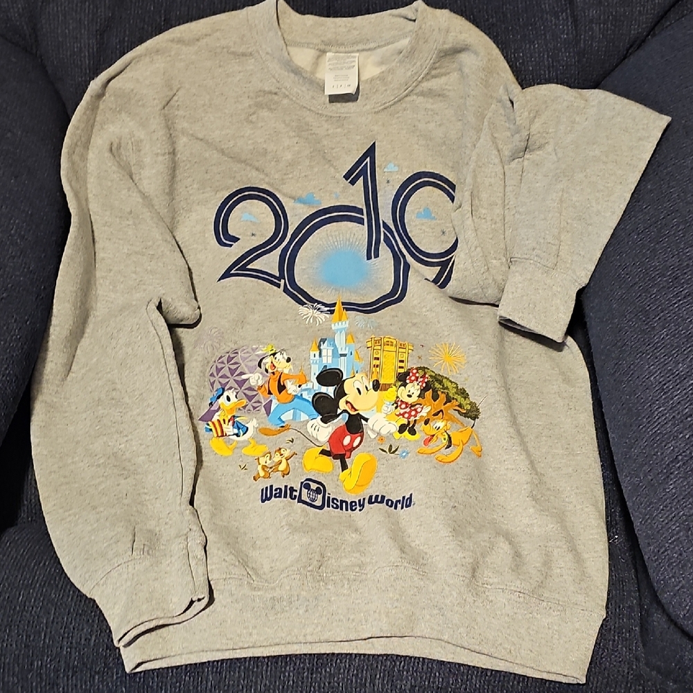 Disney World Gray Sweater 2019